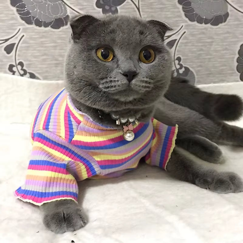 Colorful Stripe Sphynx Cat Vest Shirt for Small Cats Katten Kedi Cotton Puppy Dog Pet Clothes Mascotas Clothing Ropa Para Gatos